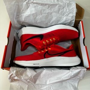 Brand new! Nike Air Zoom Pegasus 39